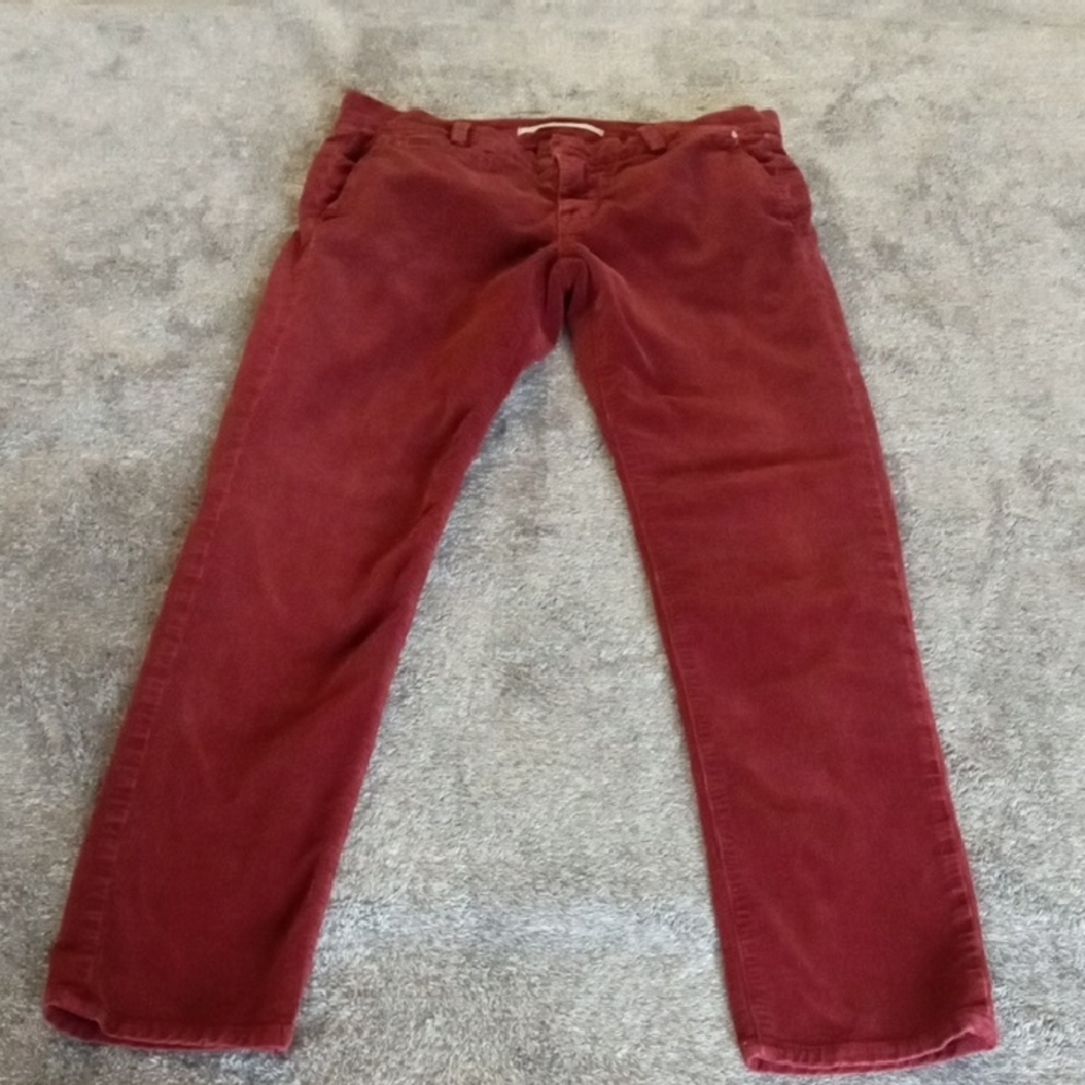 Vince burgundy corduroy pants